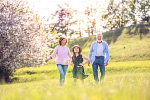 Senior couple with grandaughter outside in spring nature, laughing. Copy space.