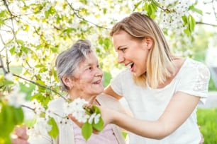 Elderly grandmother and an adult granddaughter standing under tree outside in spring nature, laughing.