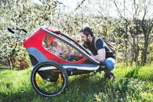 A father looking at two toddler children sitting in jogging stroller outside in spring nature.