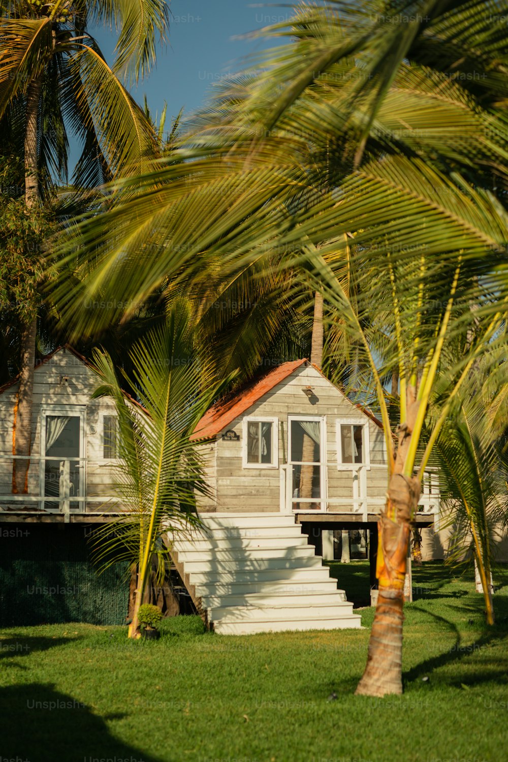 Una casa con una palmera frente a ella