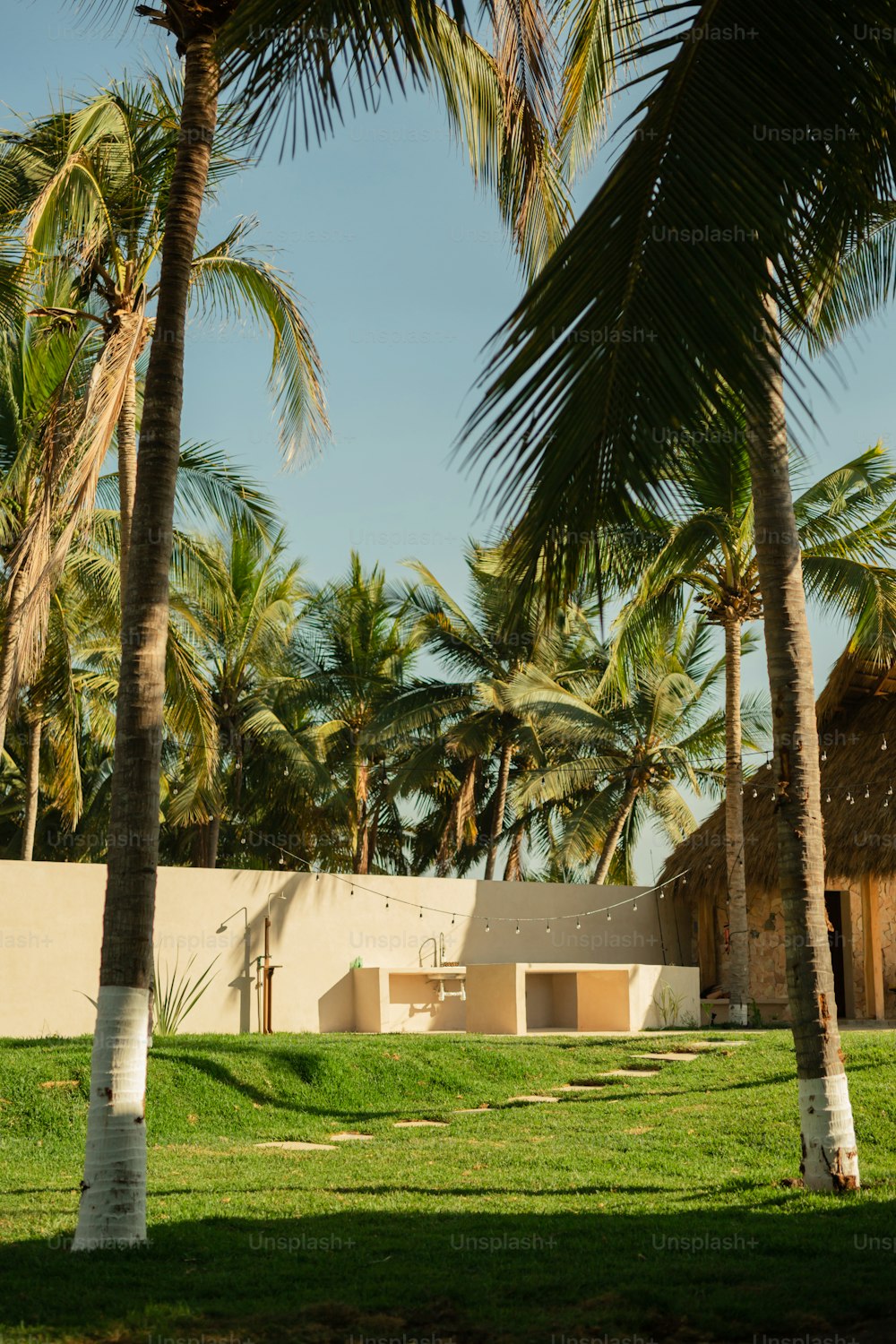 a couple of palm trees in front of a building