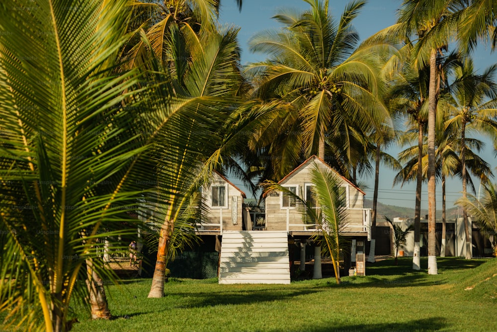 uma casa cercada por palmeiras em um dia ensolarado