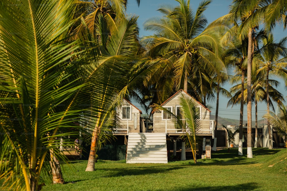 a house surrounded by palm trees on a sunny day