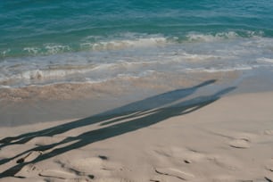 Una sombra de una persona parada en una playa