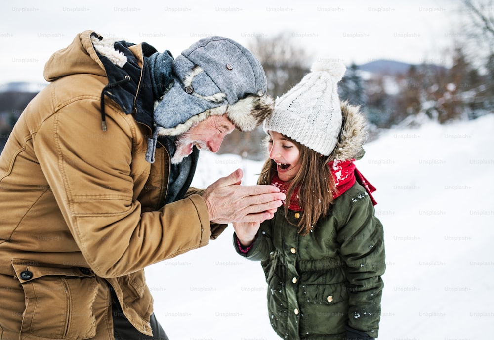 Avô sênior aquecendo as mãos de uma menina pequena na natureza nevada em um dia de inverno.