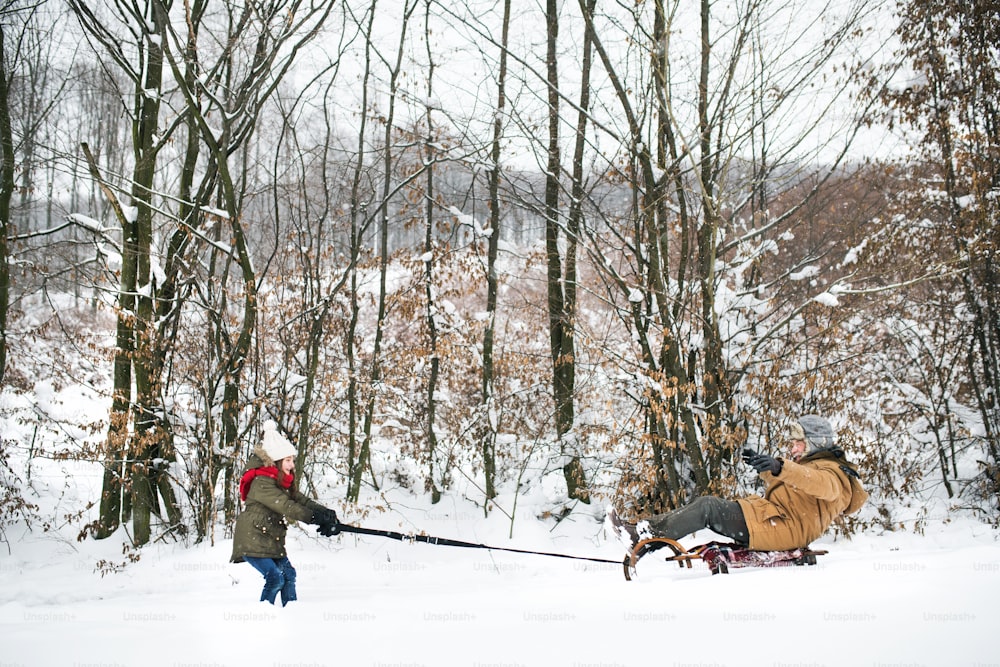 Älterer Großvater und ein kleines Mädchen beim Schlittenfahren, Spaß haben. Ein Mädchen, das an einem Wintertag den Großvater auf einem Schlitten zieht.