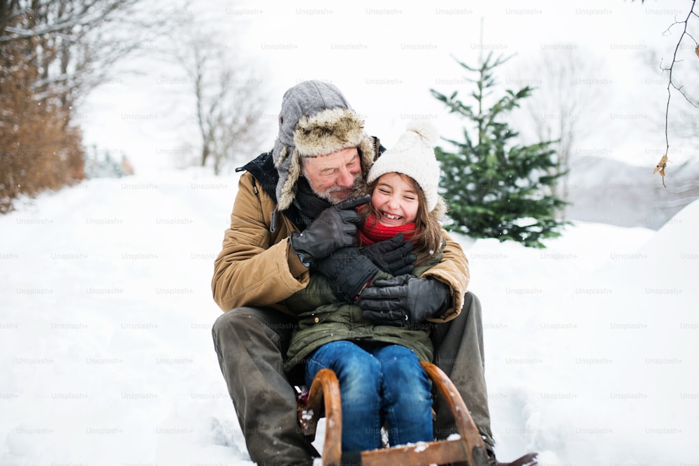 Senior grandfather and a small girl sledging on a winter day.