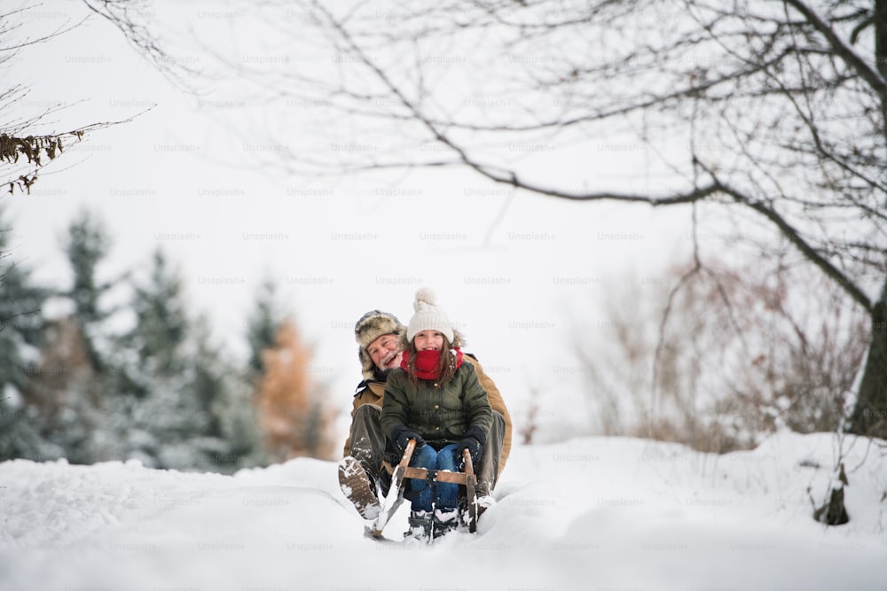 Älterer Großvater und ein kleines Mädchen beim Schlittenfahren an einem Wintertag.