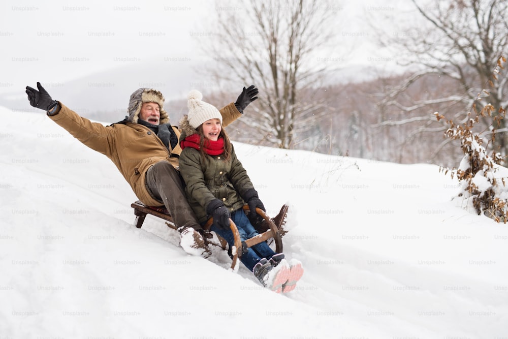 Avô sênior e uma menina pequena andando de trenó, se divertindo. Dia de inverno.