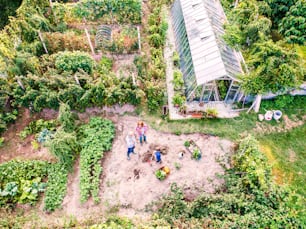 Happy healthy senior couple with their grandaughter gardening in the backyard garden. Aerial view.
