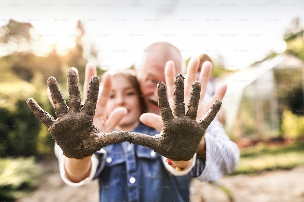 Homem sênior saudável feliz com sua neta jardinagem. Mãos sujas de uma menina pequena. De perto.