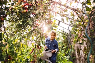 Small girl watering plants in the greenhouse. Girl gardening.