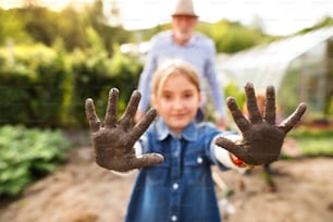 Homem sênior saudável feliz com sua neta jardinagem. Mãos sujas de uma menina pequena. De perto.