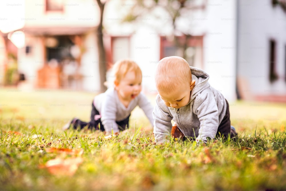 Two babies on the grass in the garden. Baby girl and baby boy crawling on the ground.