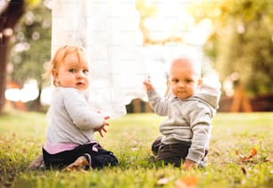 庭の芝生の上の2人の赤ちゃん。地面に座っている女の赤ちゃんと男の子。