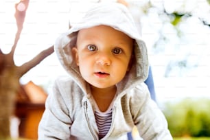 Cute baby boy on the grass in the garden. Toddler playing in nature. Close up.