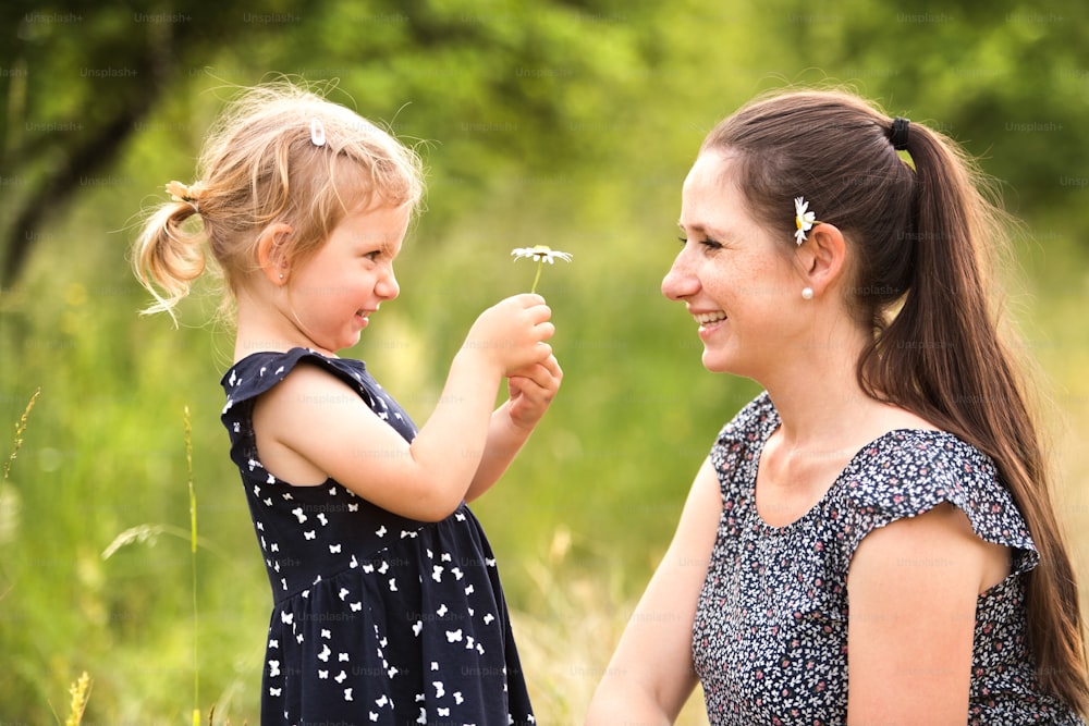 Schöne junge Mutter in grüner, sonniger Sommernatur mit ihrer süßen kleinen Tochter, Mädchen, das ihr Gänseblümchen Blume gibt.