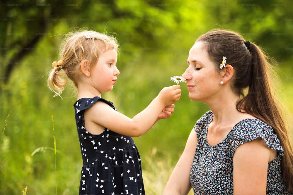 Beautiful young mother in green sunny summer nature with her cute little daughter, girl giving her daisy flower, mother smelling it.