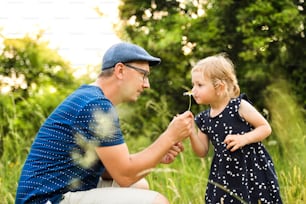 Pai jovem com sua filhinha fofa passando tempo juntos do lado de fora na natureza verde do verão, dando-lhe margarida.