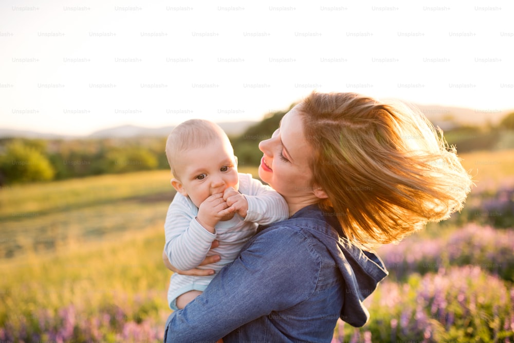 Beautiful young mother holding her little baby son in the arms outdoors in nature in lavender field.