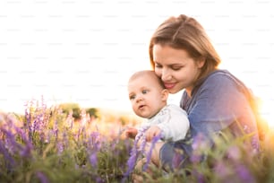 Beautiful young mother holding her little baby son in the arms outdoors in nature in lavender field.