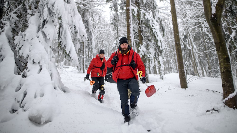 冬の森の中で屋外でシャベルを操作し、歩く山岳救助隊の正面図。