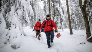 Vista frontal del servicio de rescate de montaña con palas en funcionamiento al aire libre en invierno en bosque, caminando.