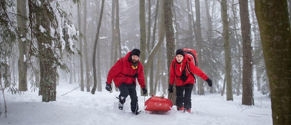 Sanitäter des Bergrettungsdienstes sind im Winter im Freien im Wald im Einsatz und ziehen Verletzte auf einer Trage.