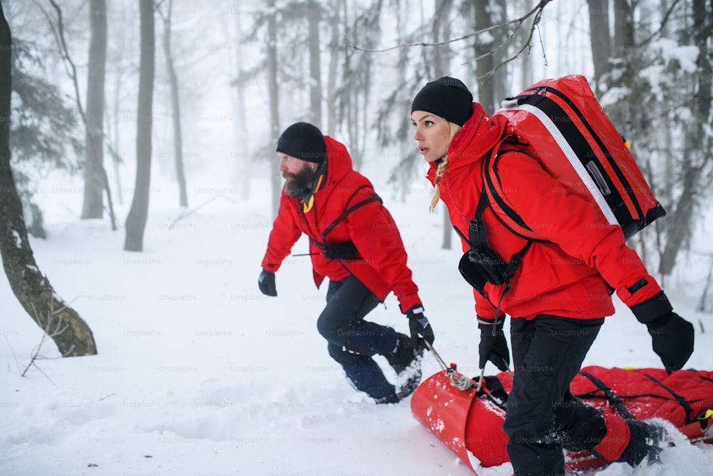 山岳救助隊の救急隊員は、冬に屋外の森で手術を行い、負傷者を担架で引っ張ります。