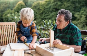 Happy small boy with senior grandfather in wheelchair constructing birdhouse, diy project.