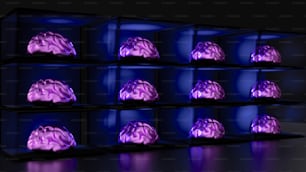 a display case filled with a purple brain model