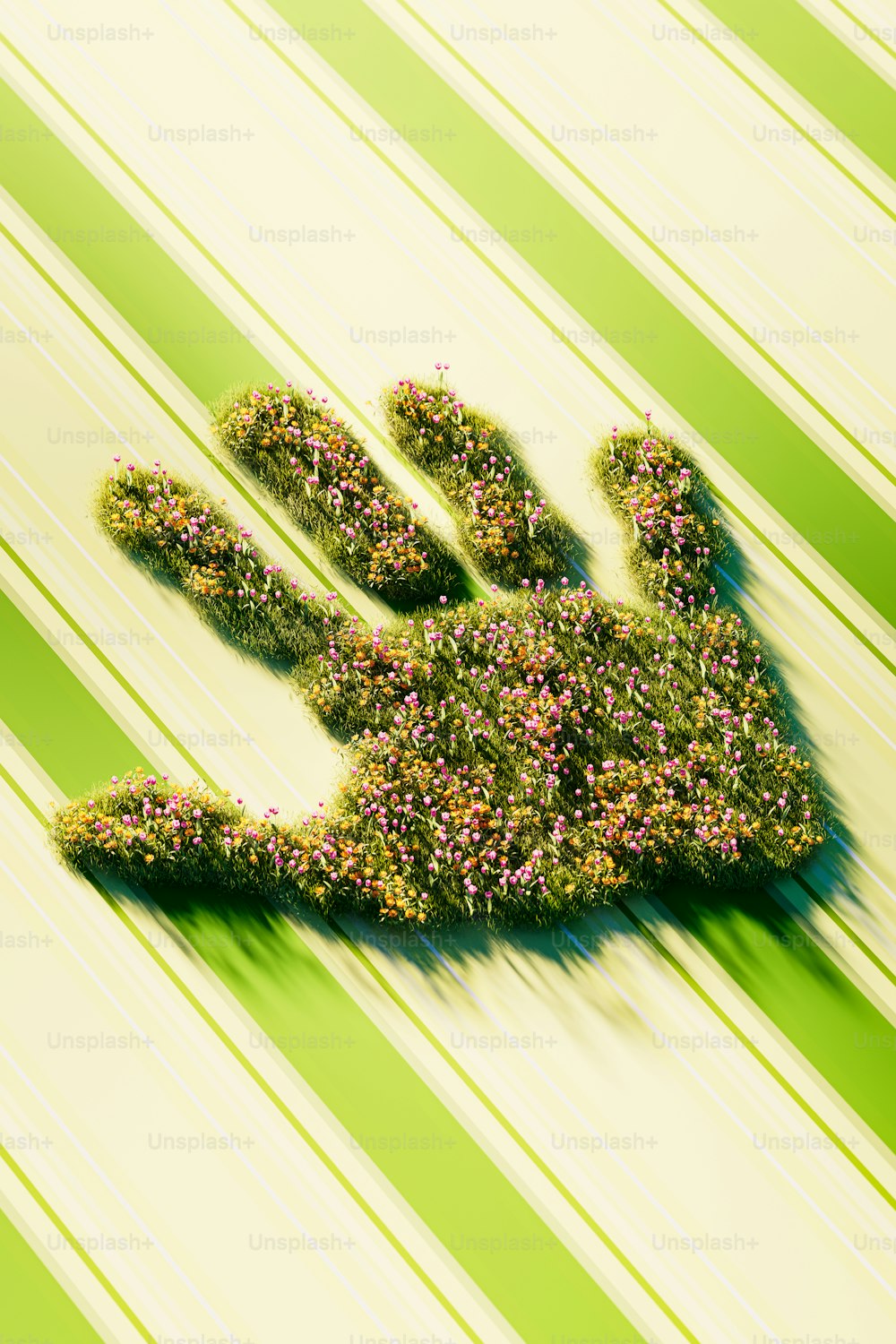 a plant shaped like a hand on a striped background