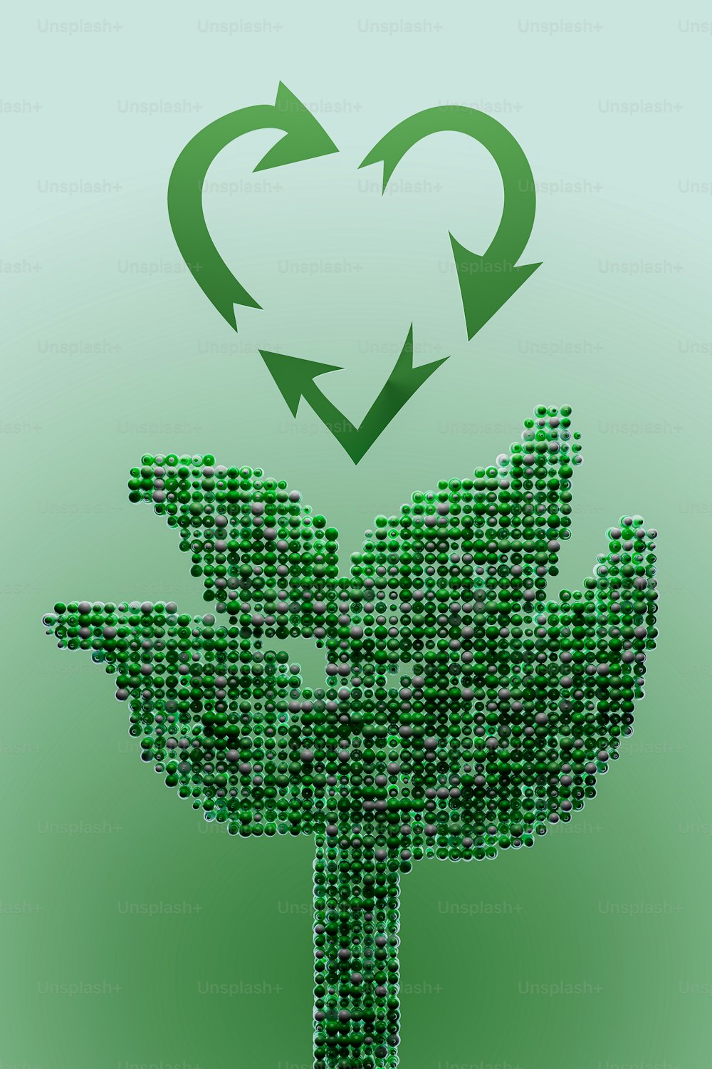 Un'immagine di una pianta verde con una freccia a forma di cuore