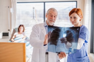 Médecins debout dans la chambre d’hôpital, examinant les rayons X des poumons.