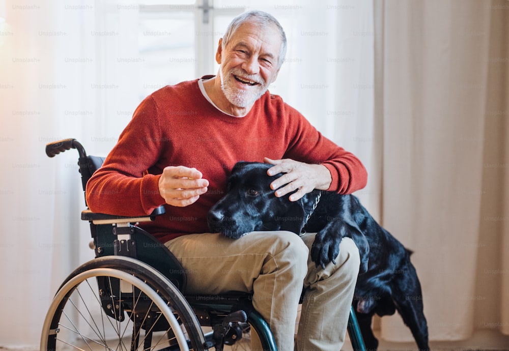 Un anciano discapacitado en silla de ruedas en el interior jugando con un perro mascota en casa. Espacio de copia.