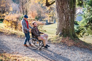 Ein älterer Vater mit Rollstuhl und sein Sohn auf einem Spaziergang in der Natur.