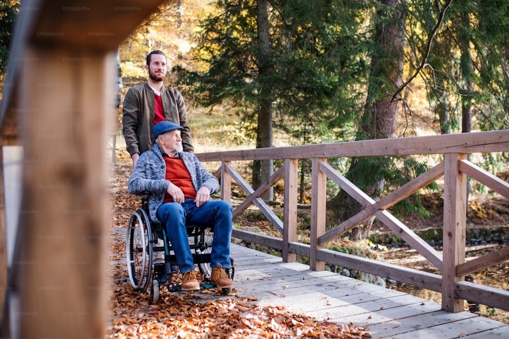 Padre anziano con sedia a rotelle e suo figlio a piedi nella natura, divertendosi.