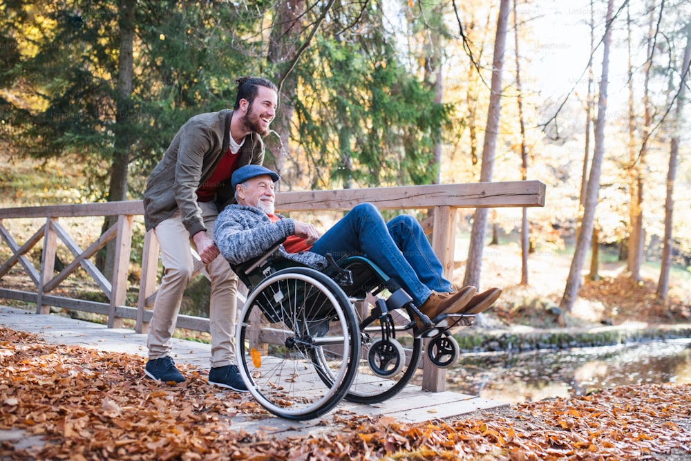 Älterer Vater mit Rollstuhl und sein Sohn auf Spaziergang in der Natur, Spaß haben.