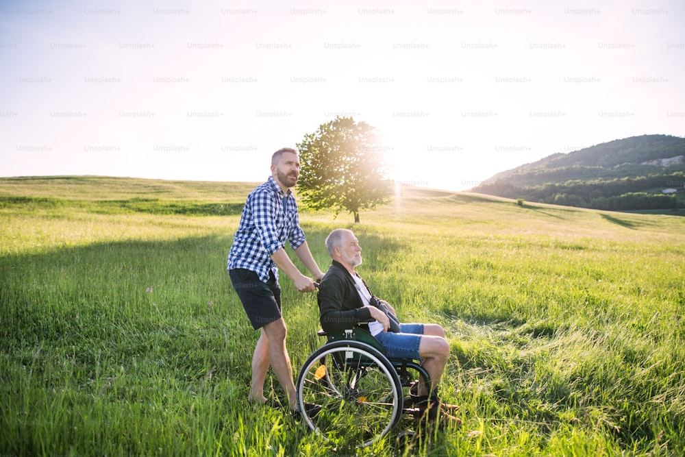 An adult hipster son with his senior father in wheelchair on a walk on a meadow in nature at sunset.