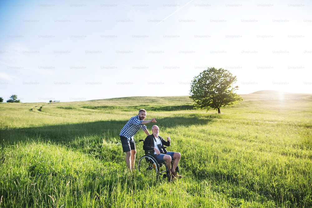 An adult hipster son with his senior father in wheelchair on a walk on a meadow in nature at sunset.