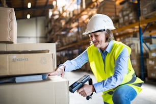 バーコードスキャナー付きのモバイルハンドヘルドPCを使用する上級倉庫の女性労働者または監督者。