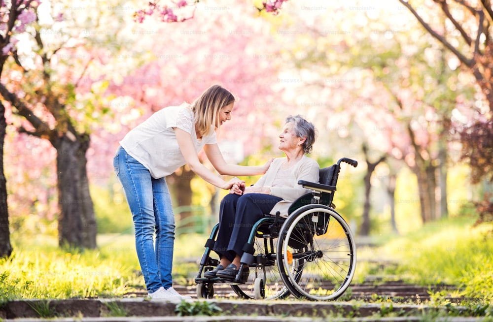 Elderly grandmother in wheelchair with an adult granddaughter outside in spring nature.