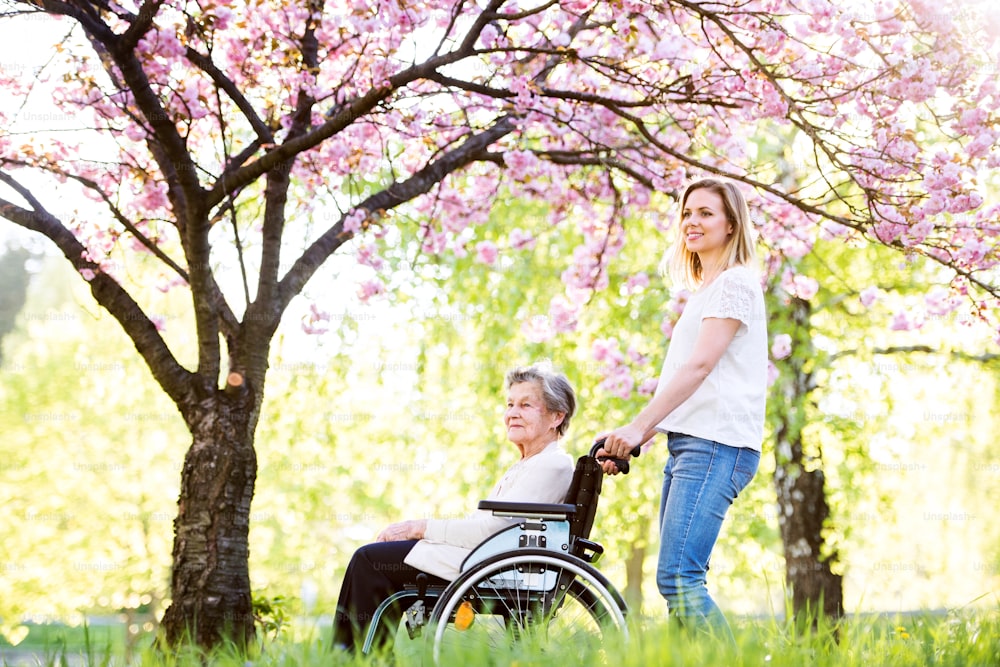 Elderly grandmother in wheelchair with an adult granddaughter on a walk outside in spring nature.