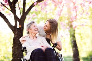 Elderly grandmother in wheelchair with an adult granddaughter outside in spring nature.