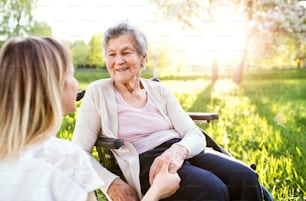 An elderly grandmother in wheelchair with an adult granddaughter outside in spring nature, holding hands.