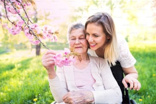 Abuela anciana en silla de ruedas con una nieta adulta afuera en la naturaleza primaveral.