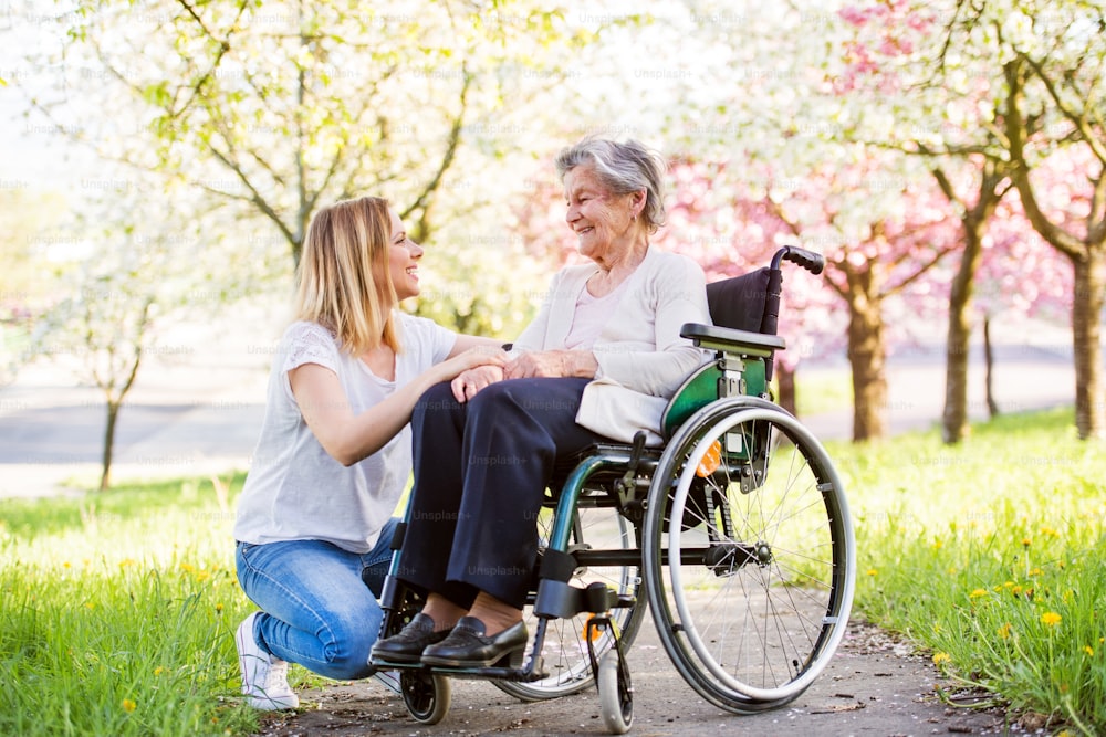 Elderly grandmother in wheelchair with an adult granddaughter outside in spring nature.