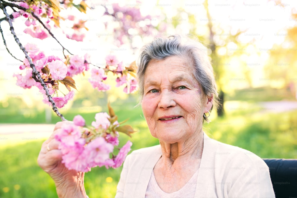 Uma mulher idosa feliz na cadeira de rodas do lado de fora na natureza da primavera.