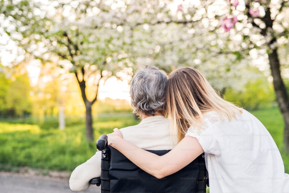 Elderly grandmother in wheelchair with an adult granddaughter outside in spring nature. Rear view.