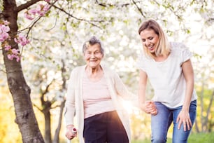 Elderly grandmother with forearm crutch and an adult granddaughter walking outside in spring nature.
